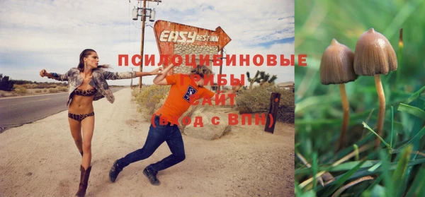 ешки Липки