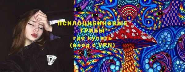 гашик Лиски