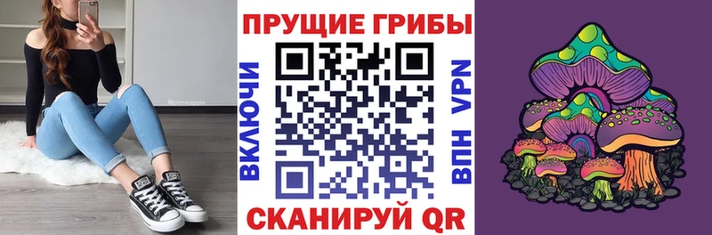 Галлюциногенные грибы Magic Shrooms  дарнет шоп  Ряжск 